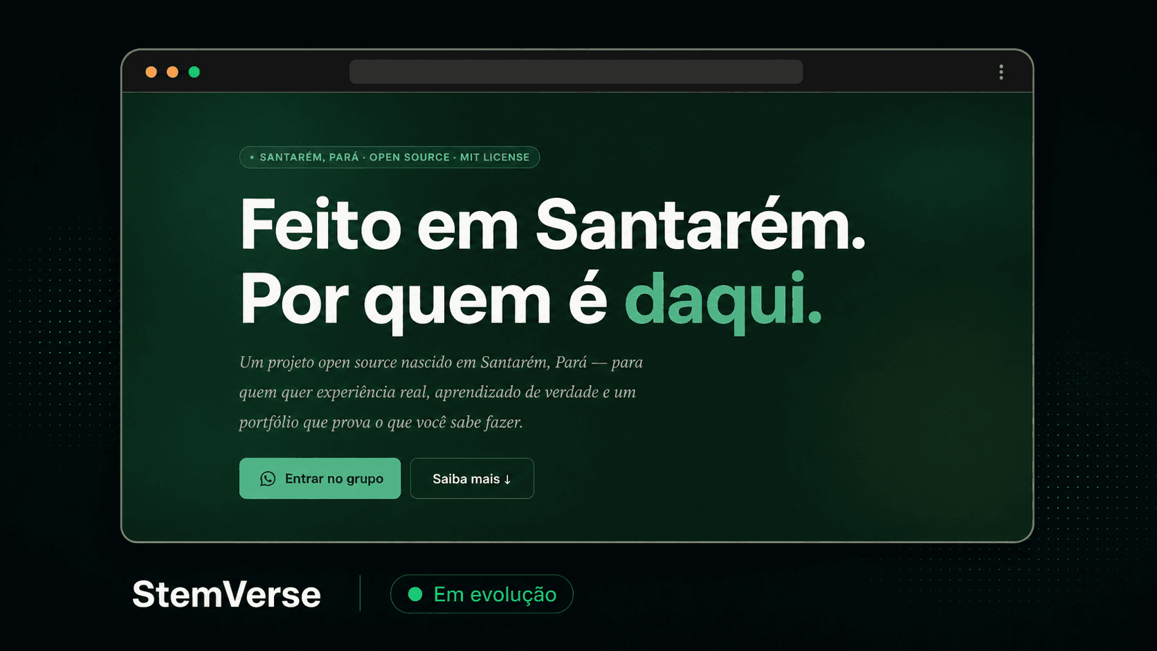 Apresentação visual do projeto StemVerse